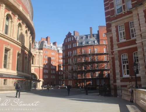 Flats 2: The Albert Hall Mansions